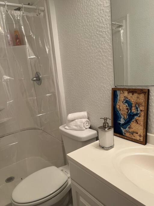 Luxury By Convention Center & Hospital * Tampa